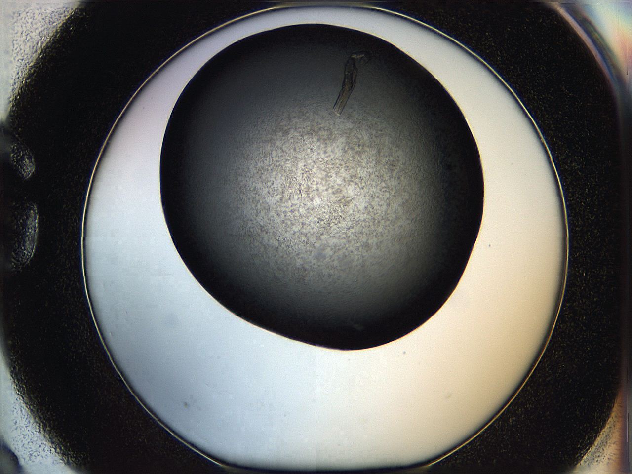 05q6_G3_ImagerDefaults_7.jpg