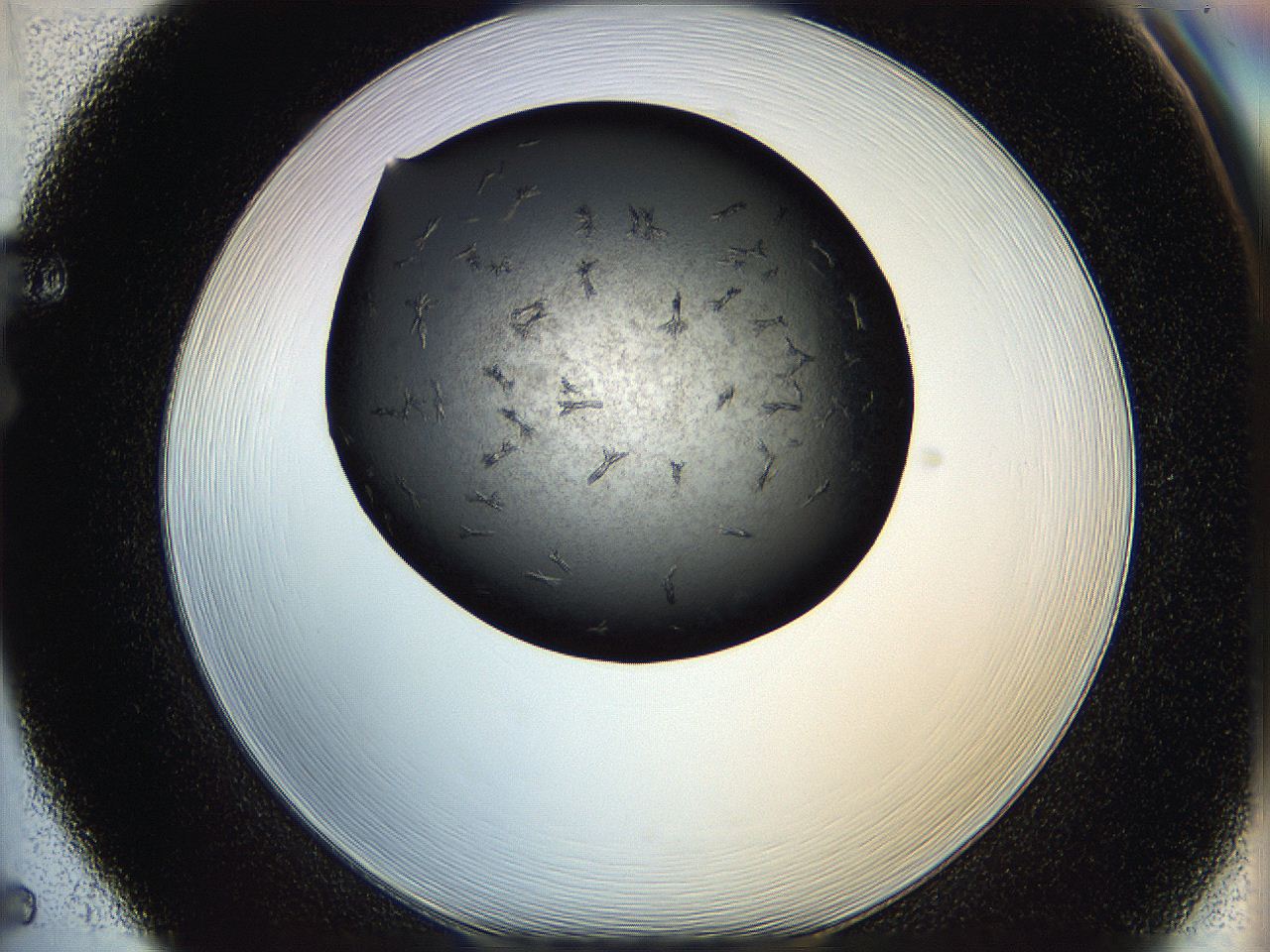 05q6_F5_ImagerDefaults_7.jpg