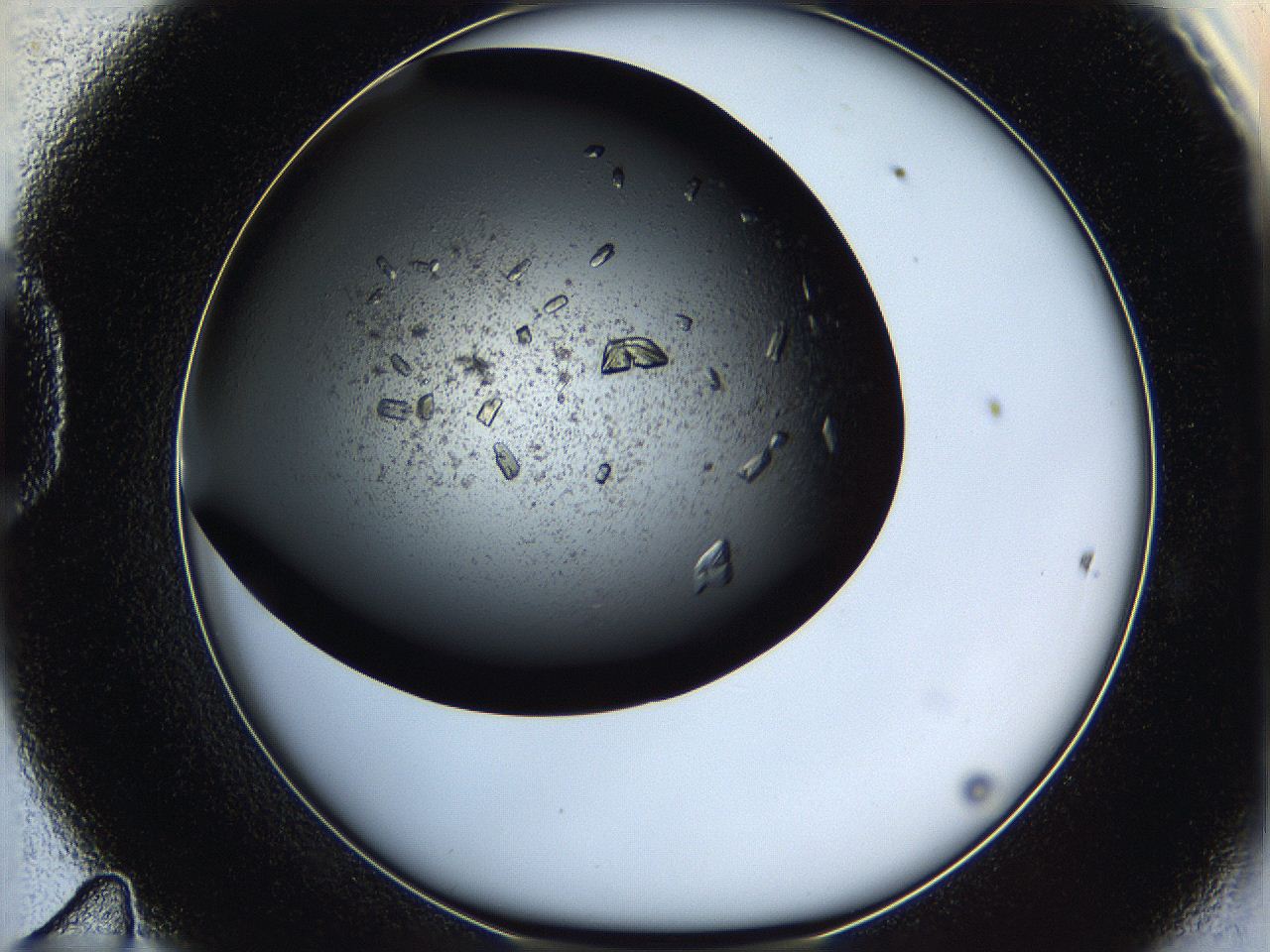 05q6_D11_ImagerDefaults_8.jpg