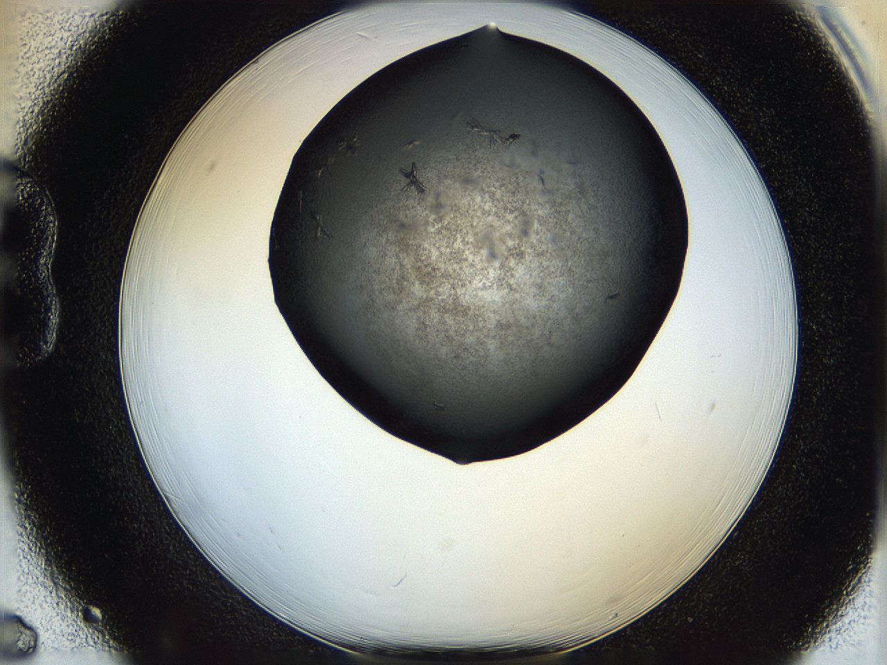 05q6_B6_ImagerDefaults_7.jpg