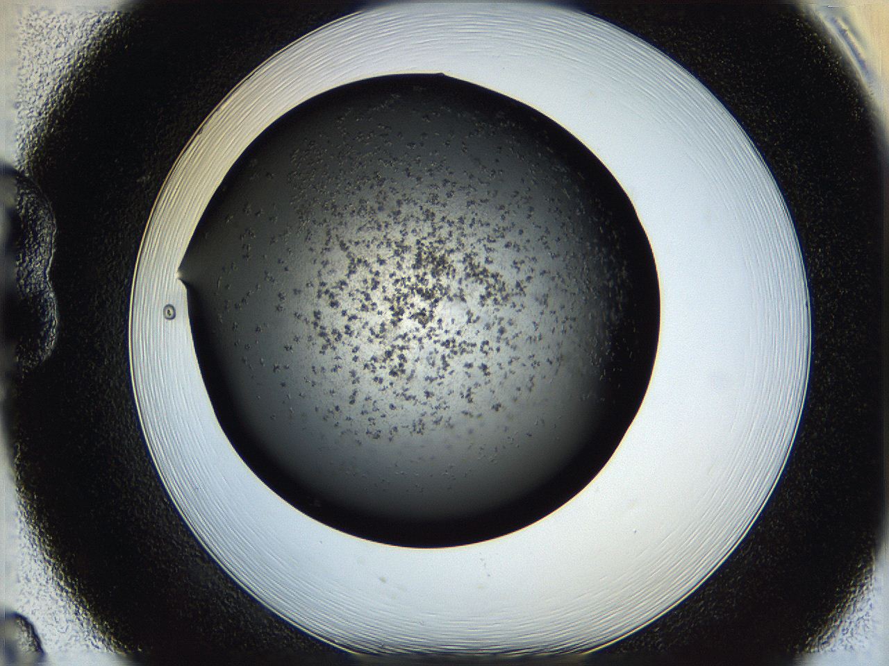 05q6_B8_ImagerDefaults_6.jpg