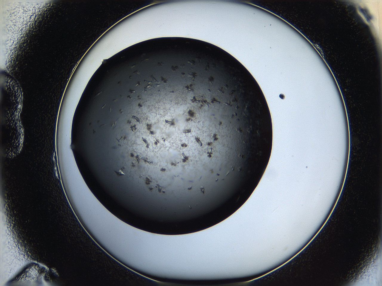 05q6_B11_ImagerDefaults_7.jpg