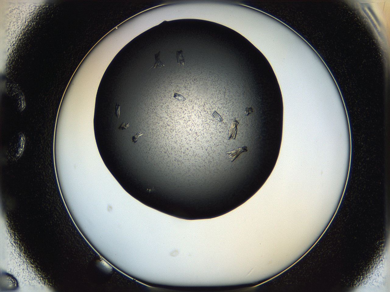 05q6_C6_ImagerDefaults_7.jpg