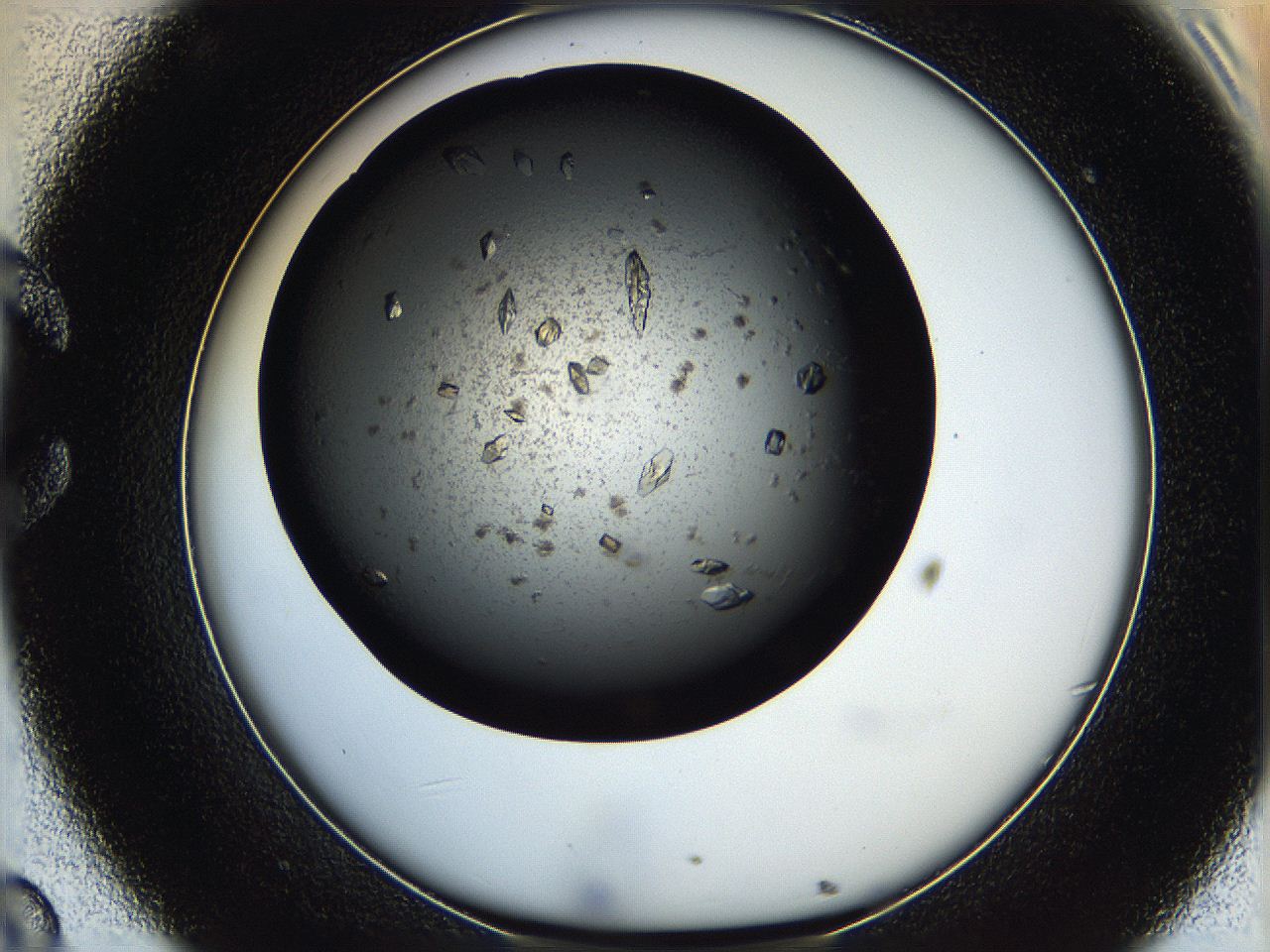 05q6_C8_ImagerDefaults_8.jpg