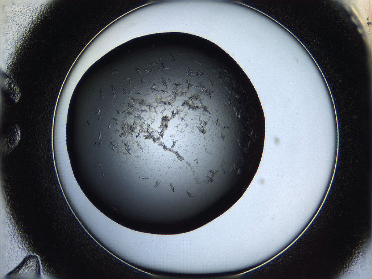 05q6_C11_ImagerDefaults_7.jpg