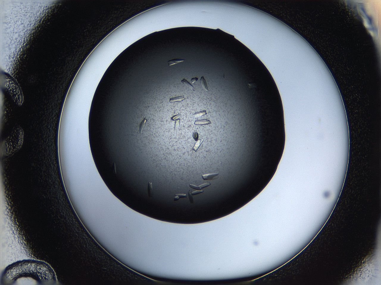 05q6_C12_ImagerDefaults_9.jpg