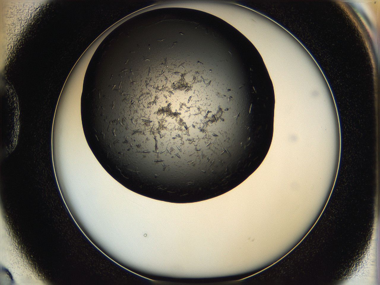 05q6_D2_ImagerDefaults_7.jpg