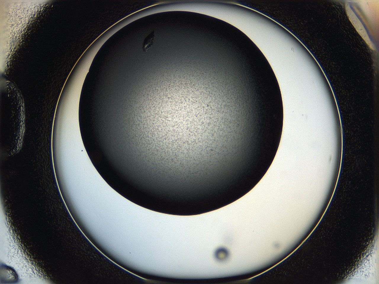 05q6_D6_ImagerDefaults_8.jpg