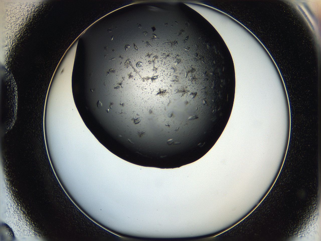 05q6_D8_ImagerDefaults_7.jpg