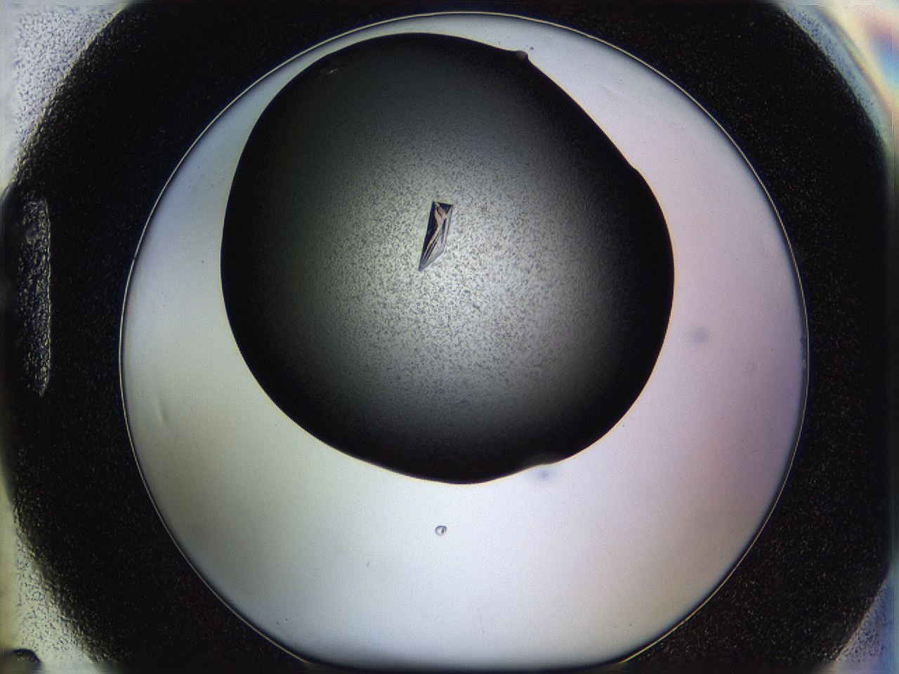 05q6_H7_ImagerDefaults_9.jpg