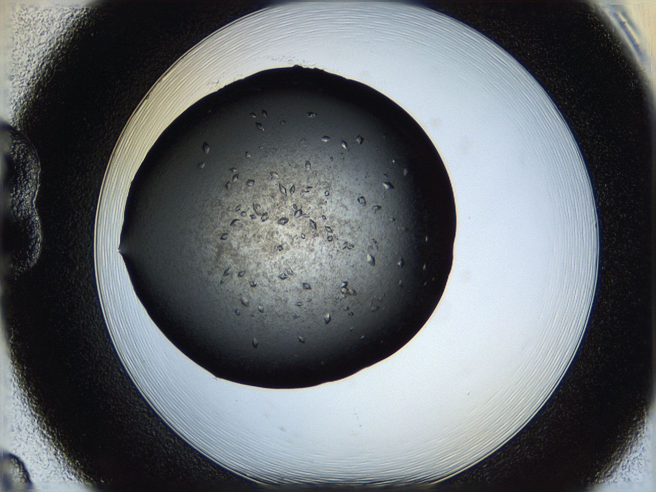 05q7_B8_ImagerDefaults_8.jpg