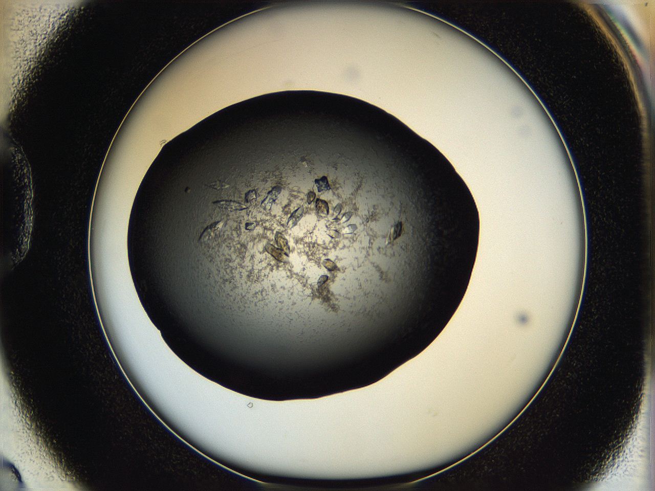 05q7_D2_ImagerDefaults_8.jpg