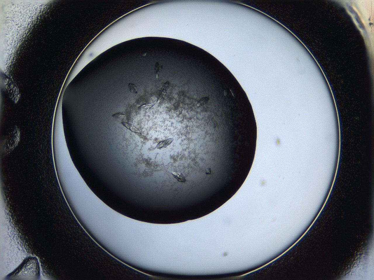 05q7_C11_ImagerDefaults_7.jpg