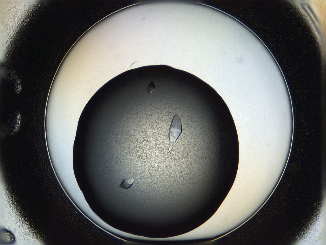 05q7_C6_ImagerDefaults_9.jpg