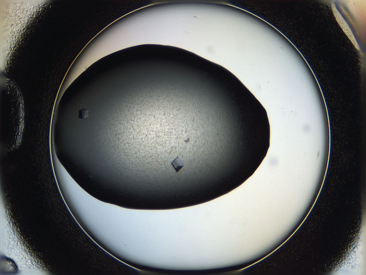 05q7_D6_ImagerDefaults_9.jpg