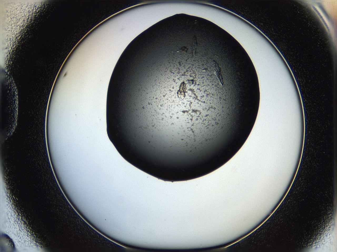 05q7_D8_ImagerDefaults_7.jpg