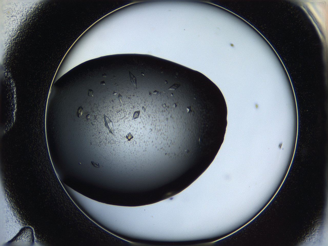 05q7_D11_ImagerDefaults_8.jpg