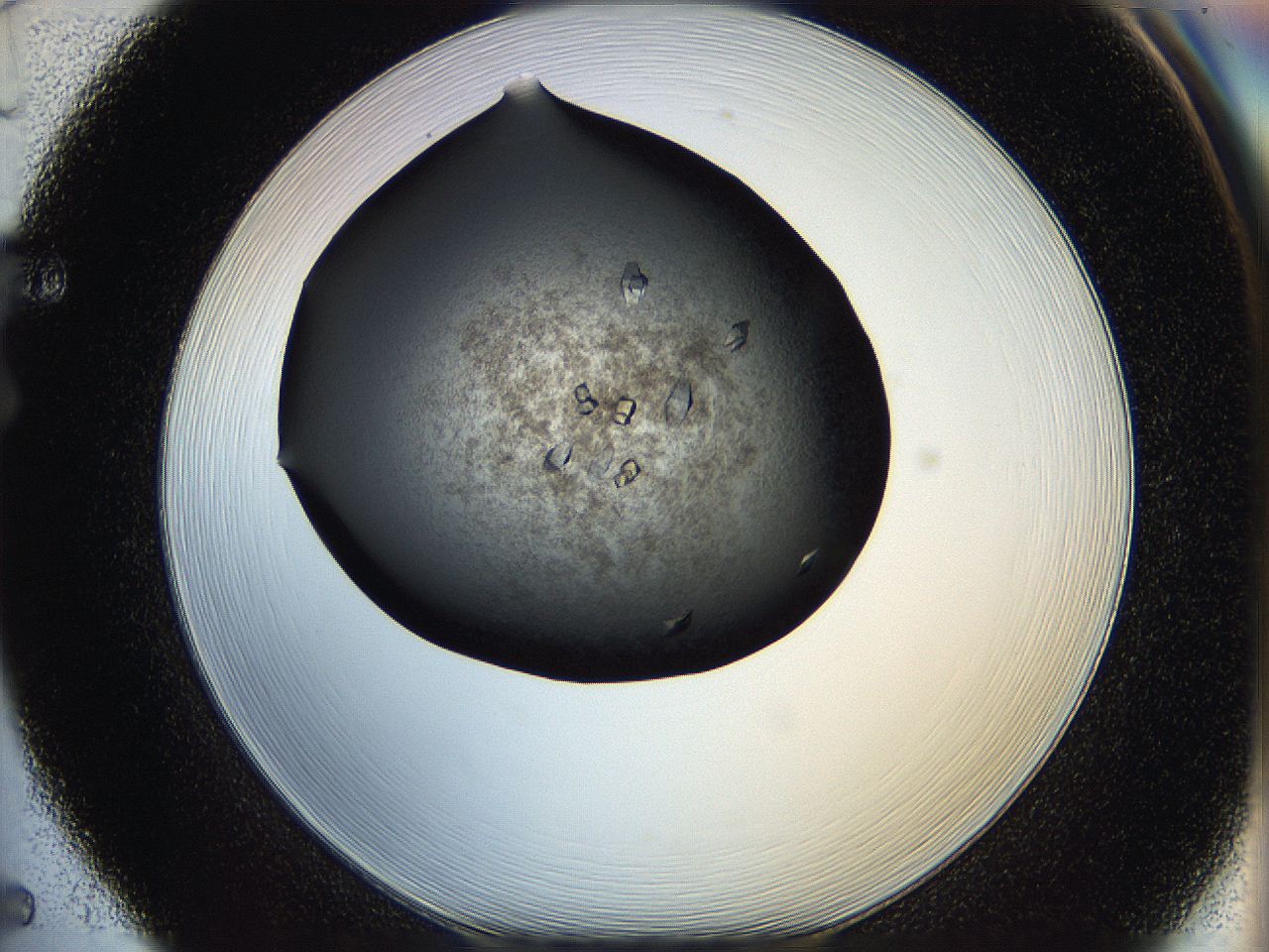 05q7_F5_ImagerDefaults_7.jpg