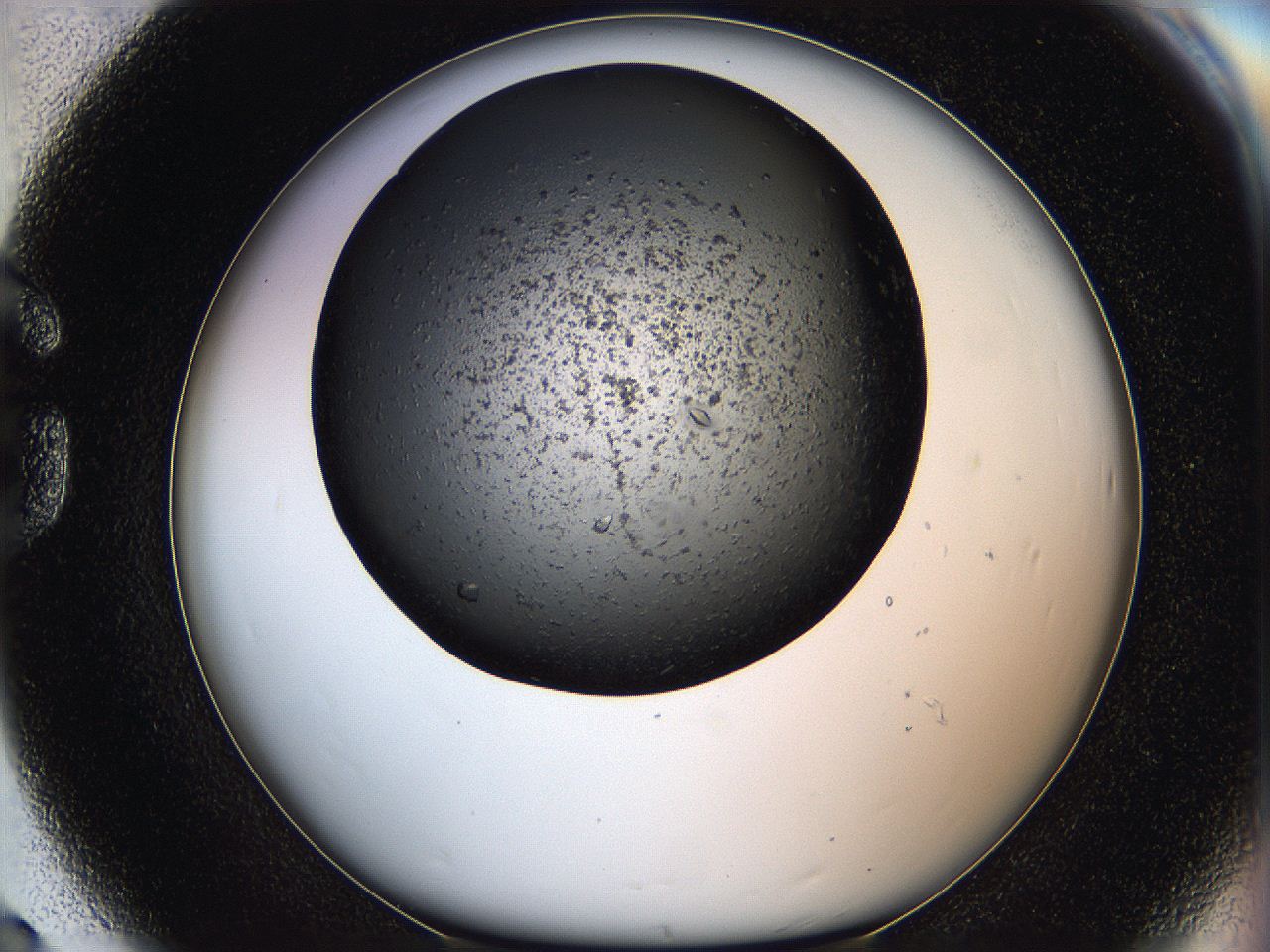 05q7_G8_ImagerDefaults_7.jpg