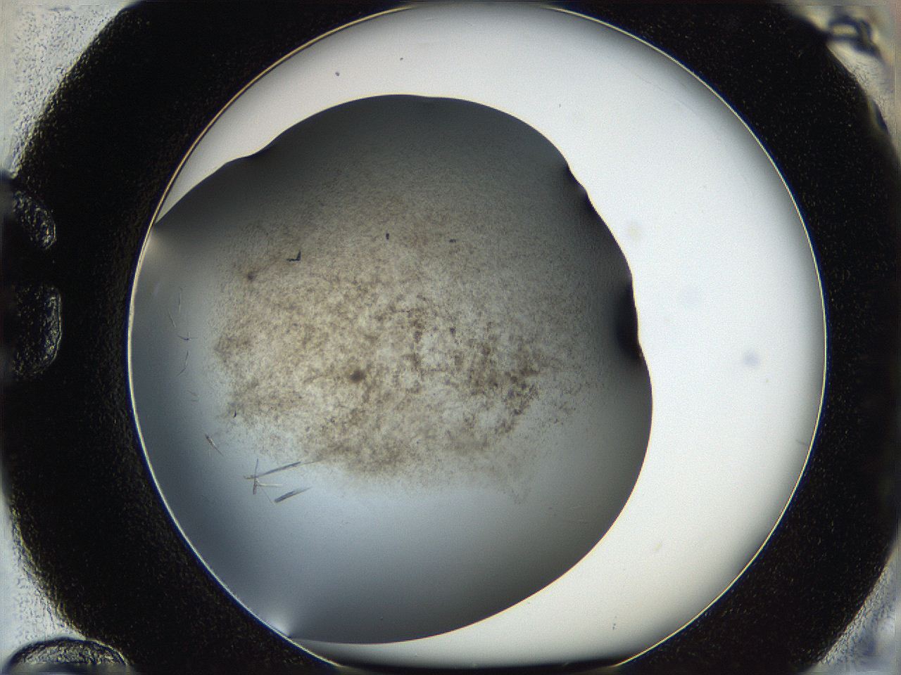 05q7_G12_ImagerDefaults_6.jpg