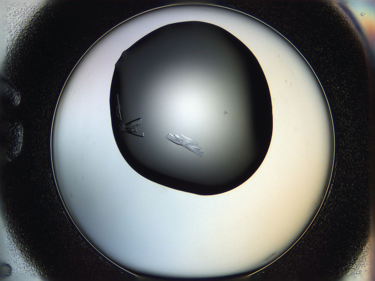 05q8_G5_ImagerDefaults_8.jpg