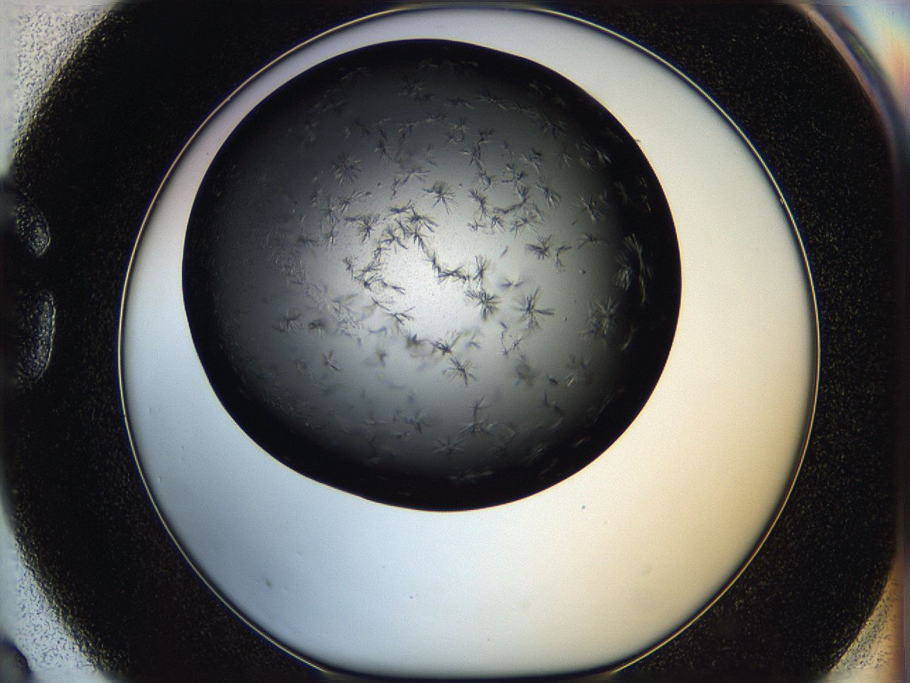 05q8_G3_ImagerDefaults_6.jpg