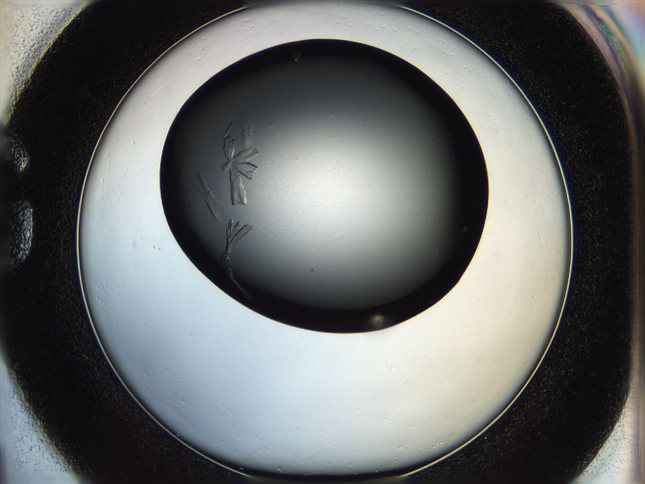 05q8_G1_ImagerDefaults_7.jpg