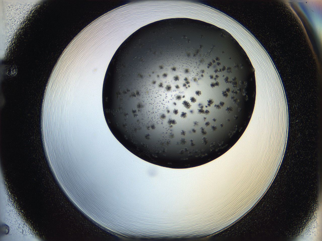 05q8_F5_ImagerDefaults_6.jpg