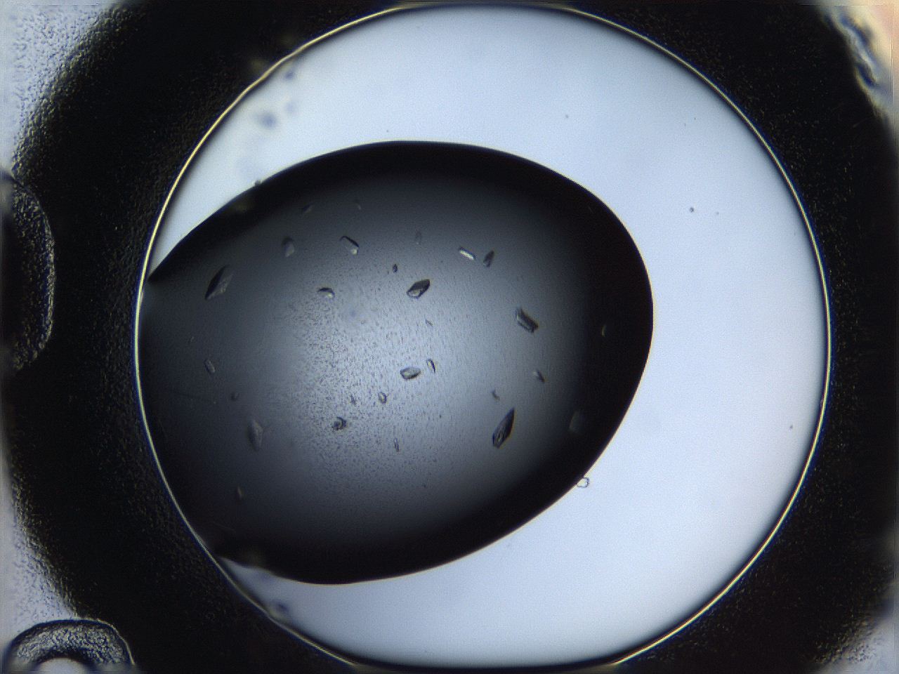 05q8_D12_ImagerDefaults_8.jpg
