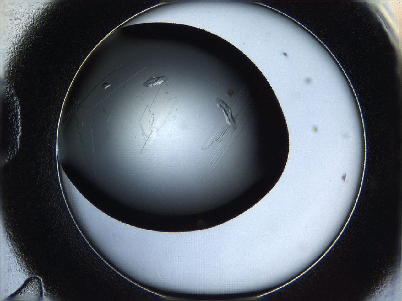 05q8_D11_ImagerDefaults_8.jpg