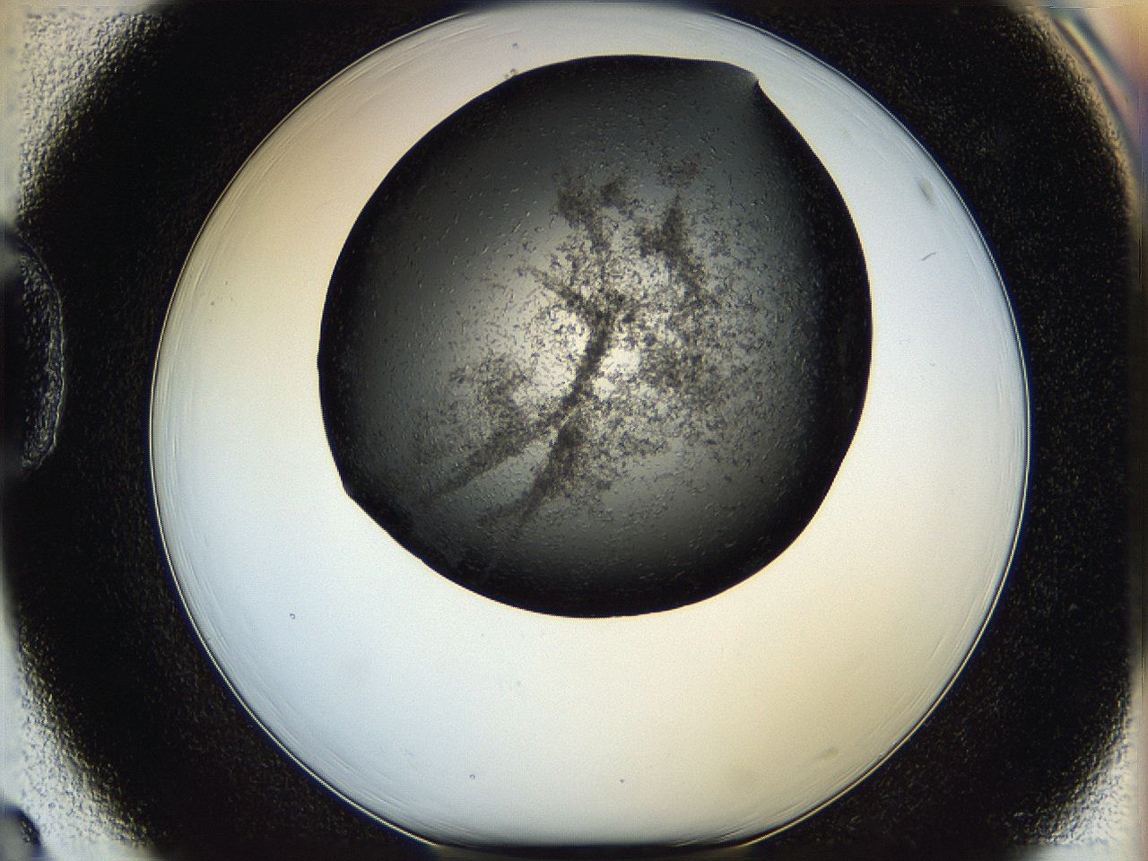 05q8_D3_ImagerDefaults_6.jpg