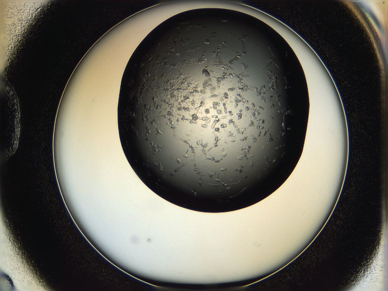 05q8_D2_ImagerDefaults_6.jpg