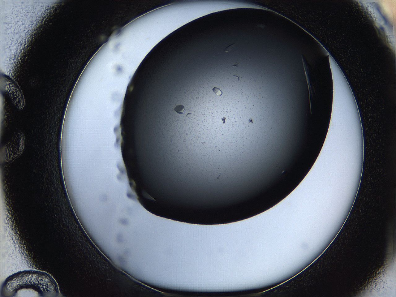 05q8_C12_ImagerDefaults_9.jpg