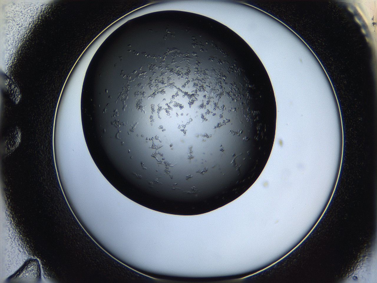 05q8_C11_ImagerDefaults_6.jpg