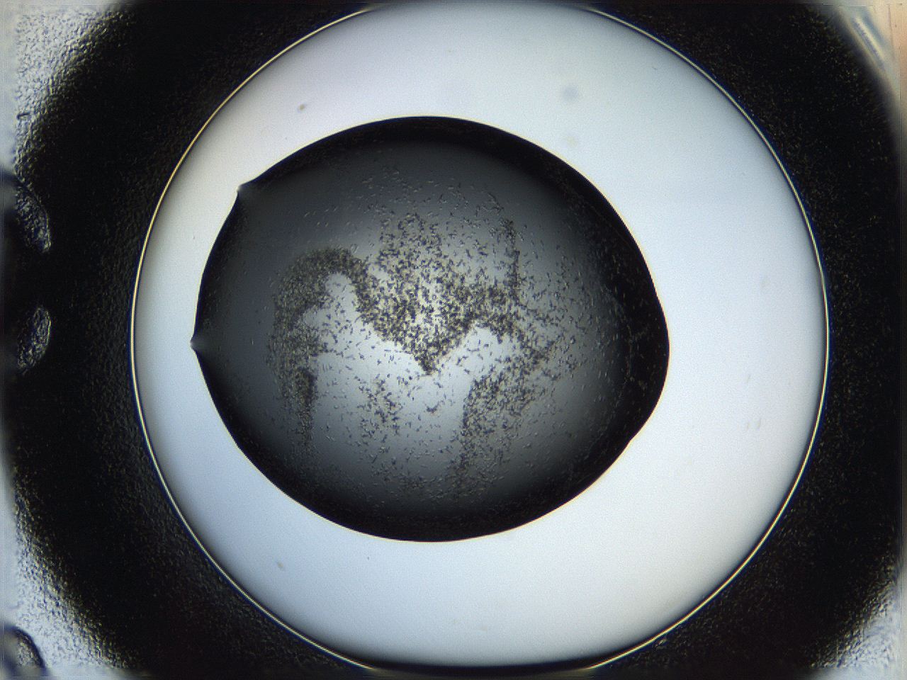 05q8_C9_ImagerDefaults_6.jpg