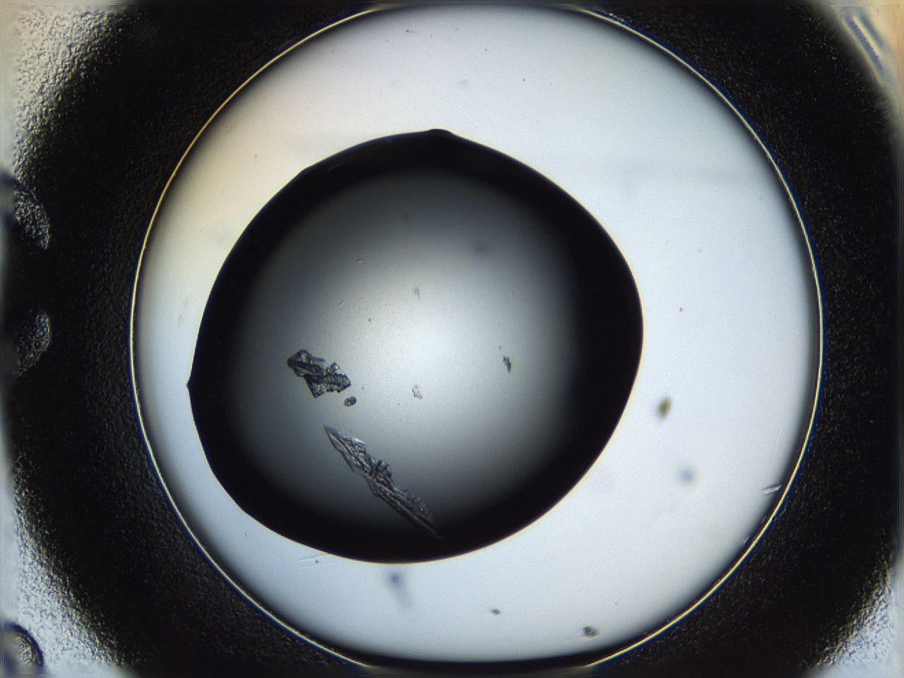 05q8_C8_ImagerDefaults_8.jpg