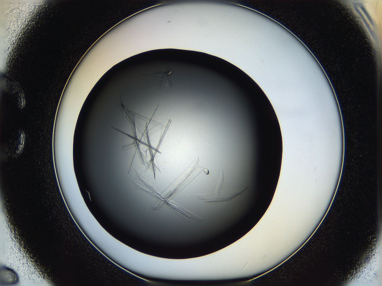 05q8_C6_ImagerDefaults_8.jpg