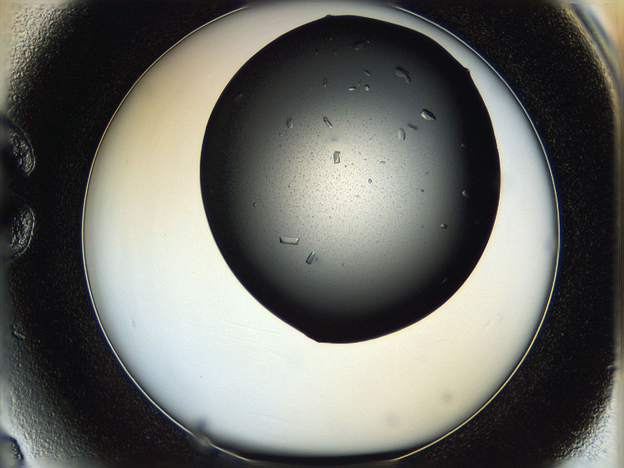 05q8_C3_ImagerDefaults_9.jpg
