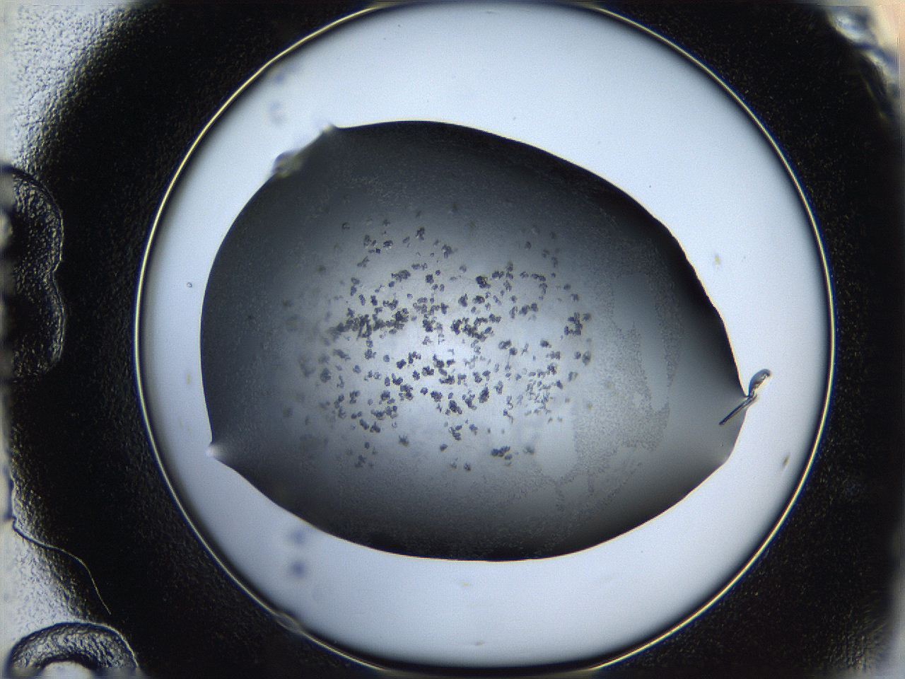 05q8_B12_ImagerDefaults_6.jpg