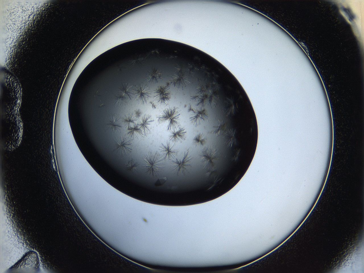 05q8_B11_ImagerDefaults_9.jpg