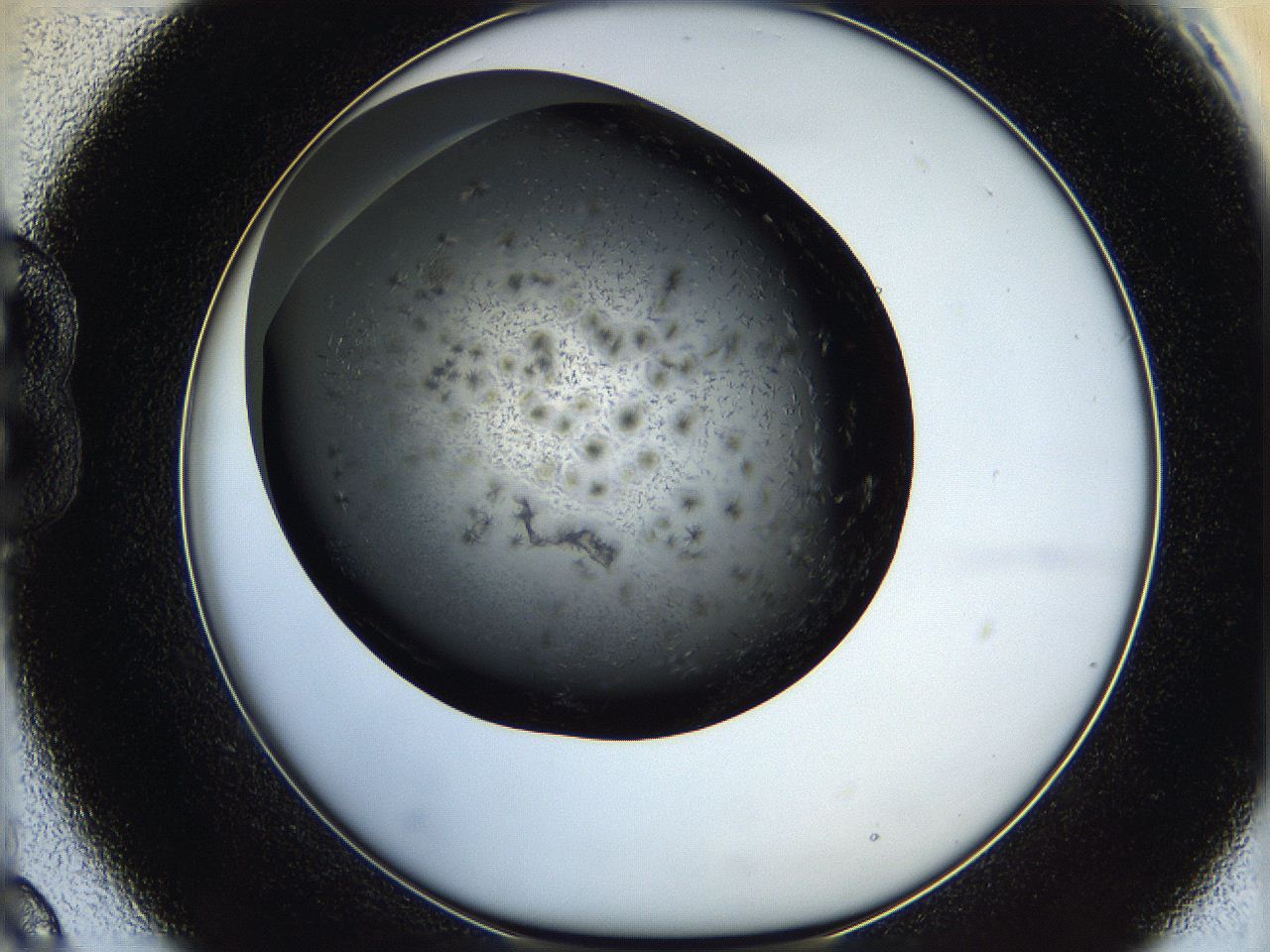 05q8_B9_ImagerDefaults_6.jpg