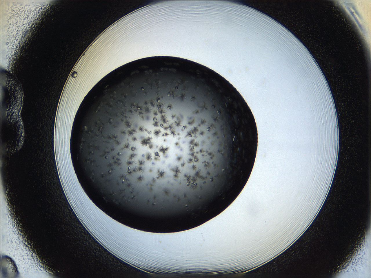 05q8_B8_ImagerDefaults_7.jpg