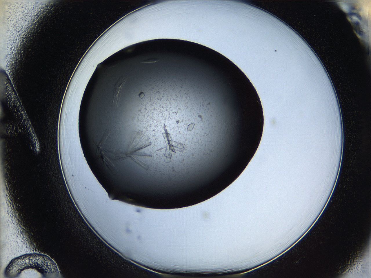 05q8_A12_ImagerDefaults_7.jpg