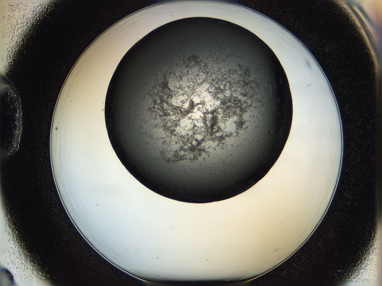 05q9_D3_ImagerDefaults_6.jpg