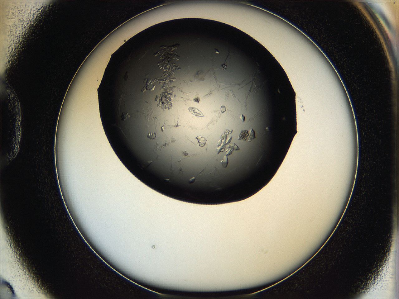 05q9_D2_ImagerDefaults_7.jpg