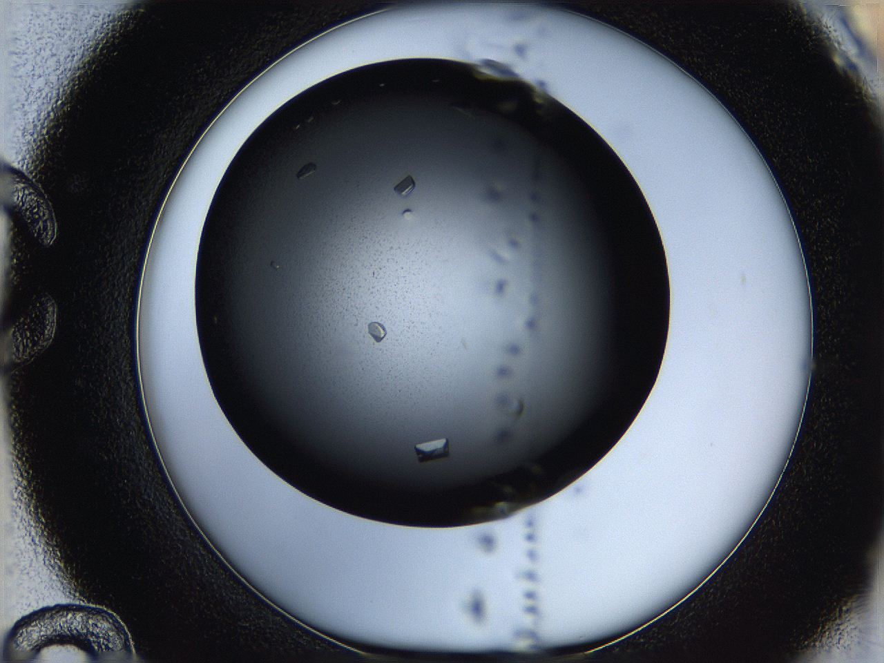 05q9_C12_ImagerDefaults_8.jpg