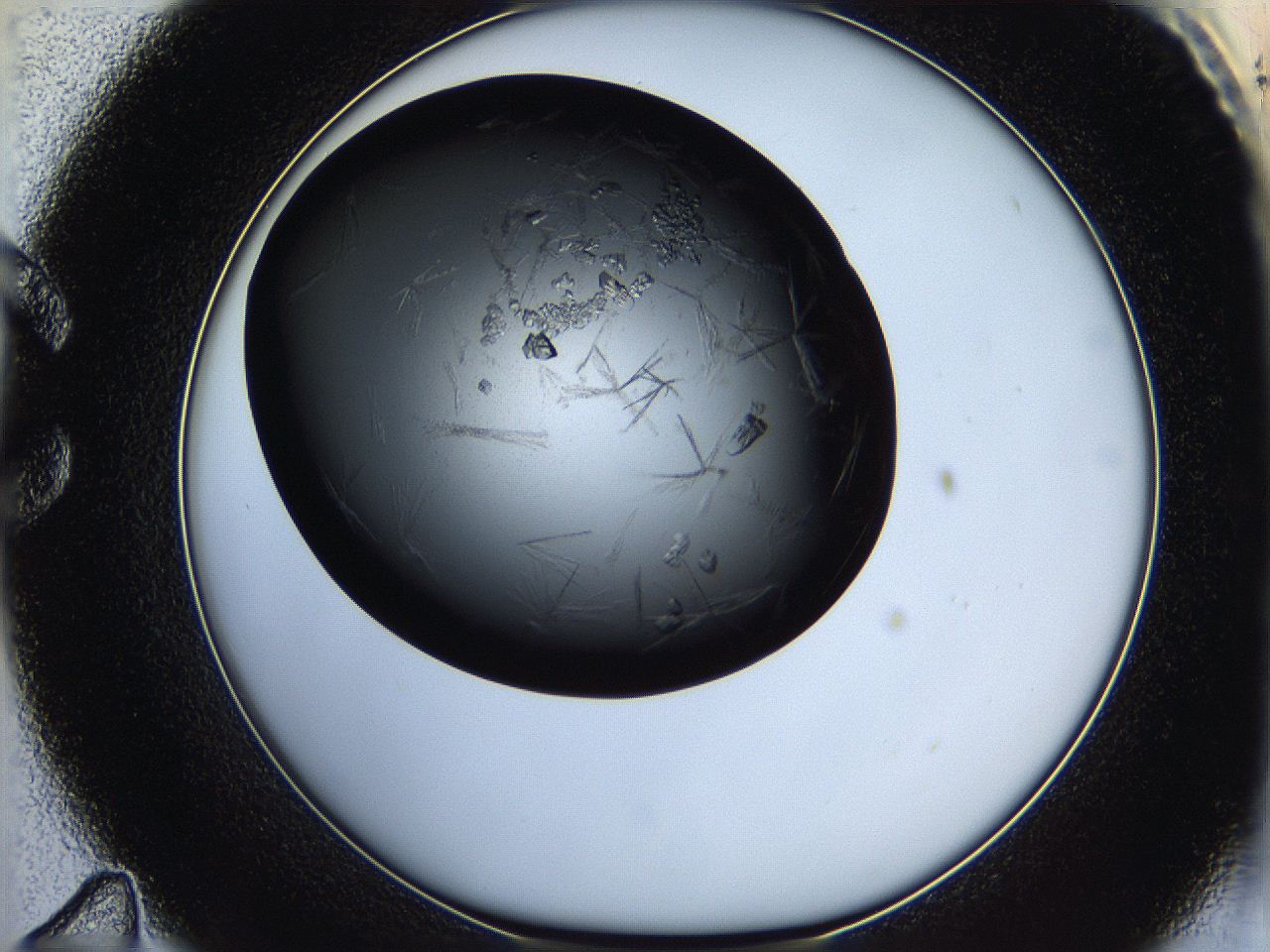 05q9_C11_ImagerDefaults_7.jpg