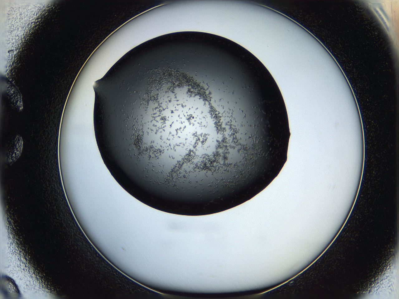 05q9_C9_ImagerDefaults_6.jpg