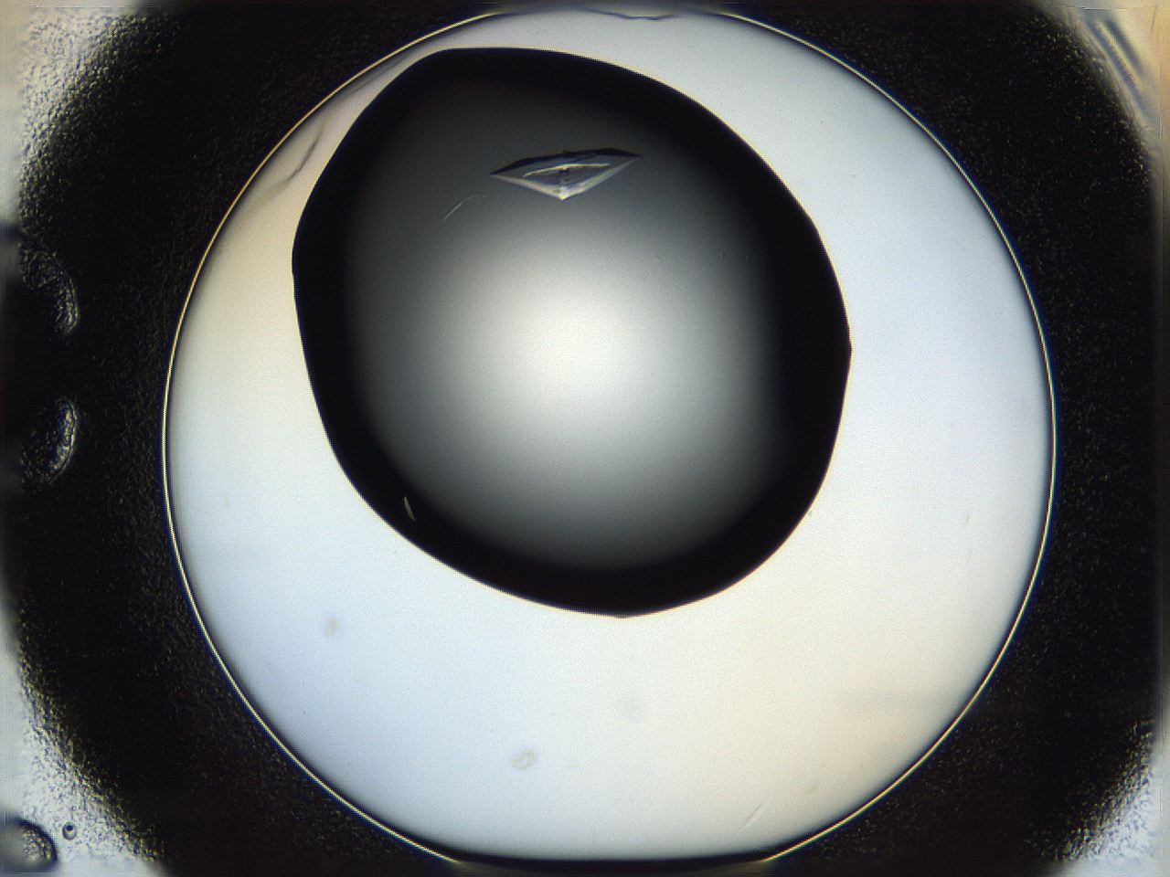 05q9_C6_ImagerDefaults_9.jpg