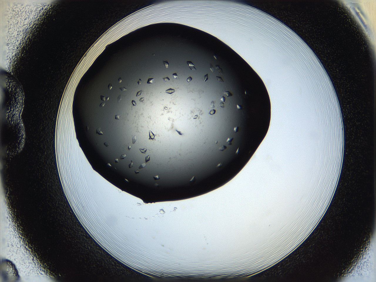 05q9_B8_ImagerDefaults_8.jpg